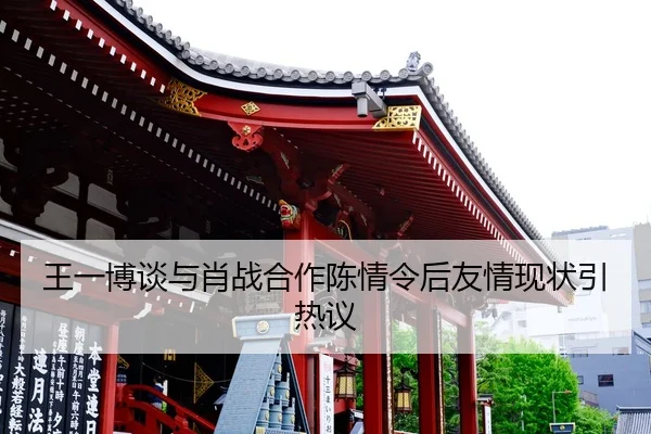 wang-yi-bo-tan-yu-xiao-zhan-he-zuo-chen-qing-ling-hou-you-qing-xian-zhuang-yin-re-yi-2-410.jpg